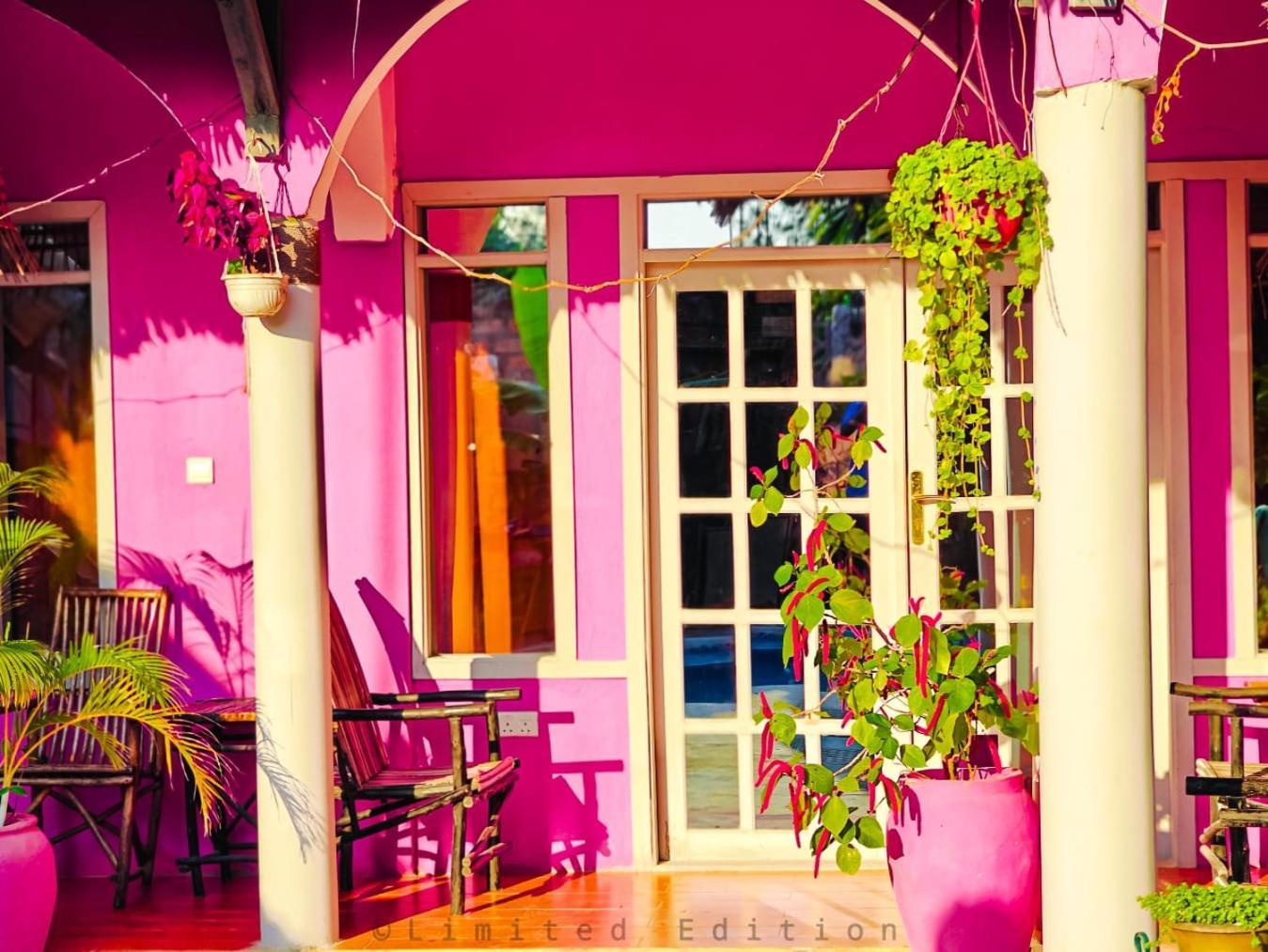Nungwi Roses Villa Dış mekan fotoğraf