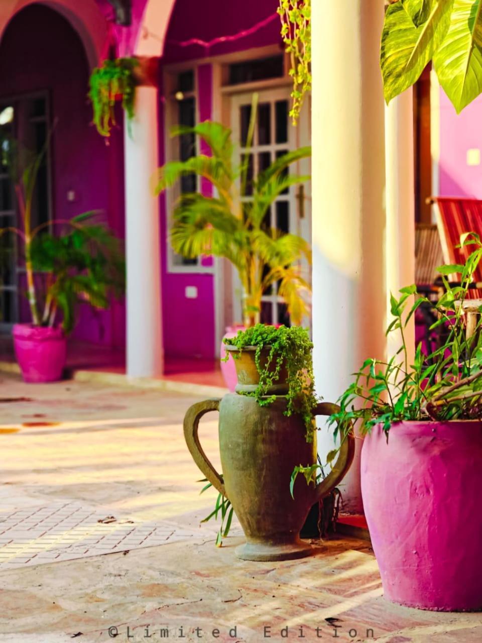 Nungwi Roses Villa Dış mekan fotoğraf